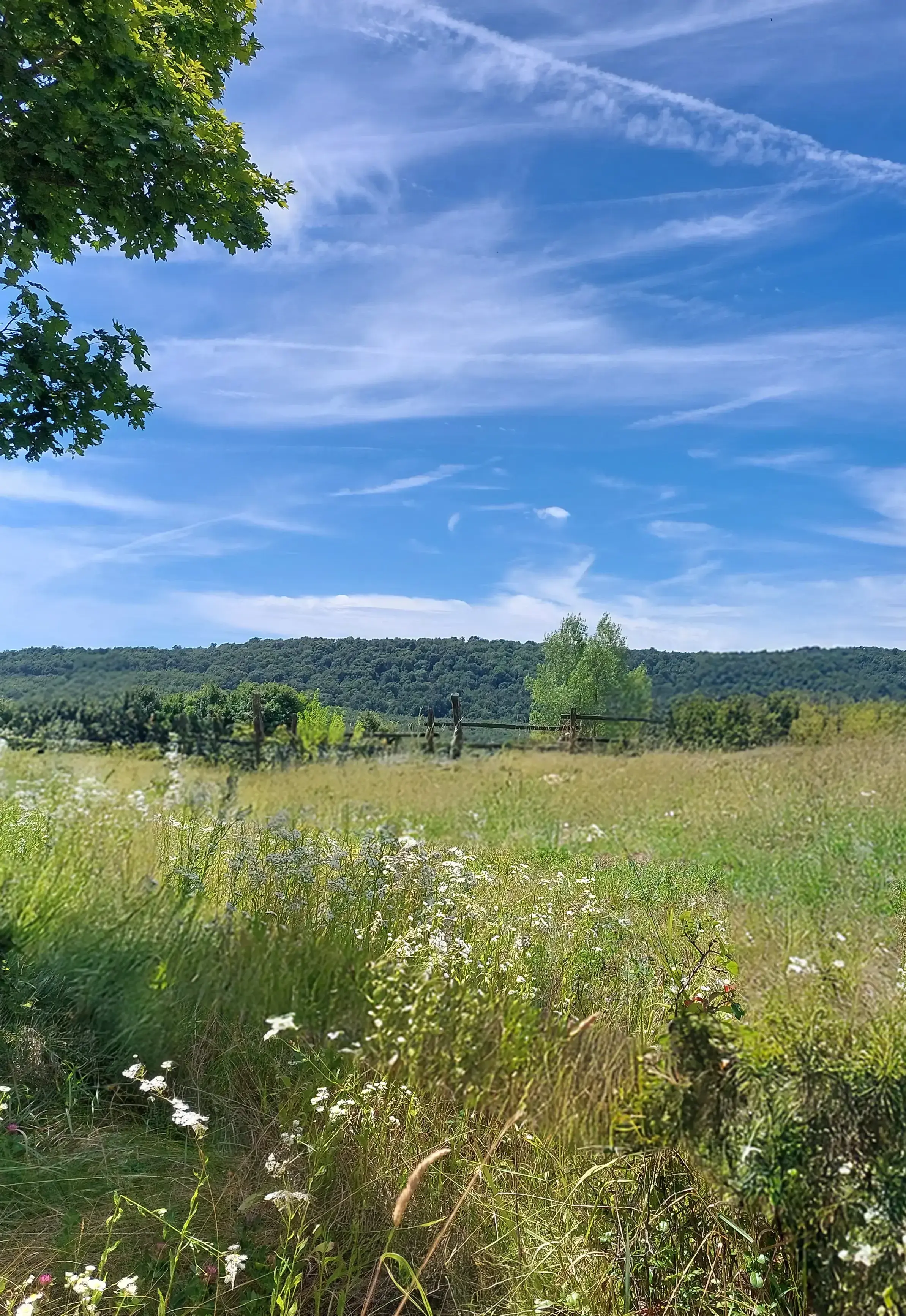 Mező, dombokkal és égboltal, képről képszerkeztővel eltávolított korláttal