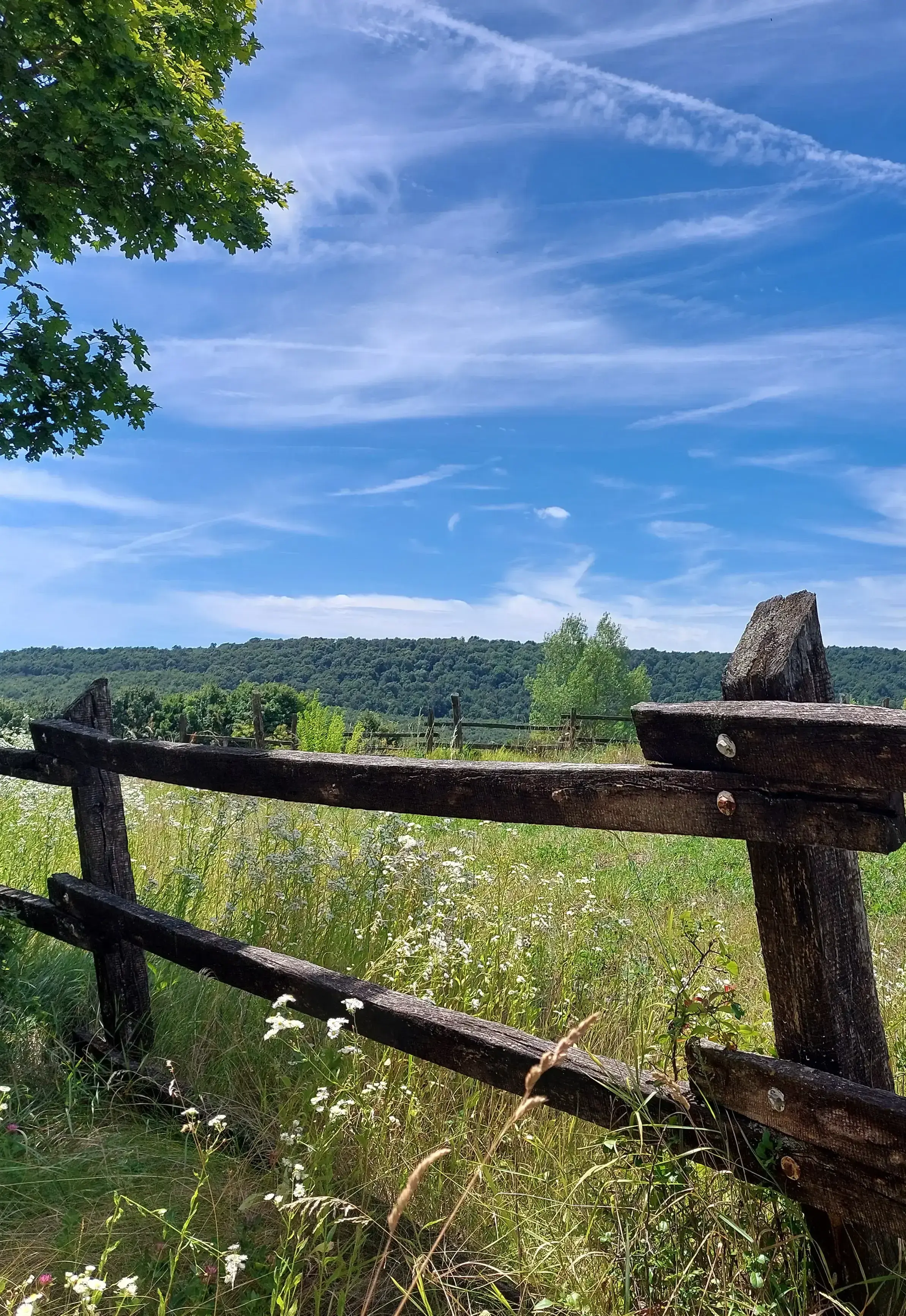 Mező, dombokkal és égboltal, képen középen egy korláttal