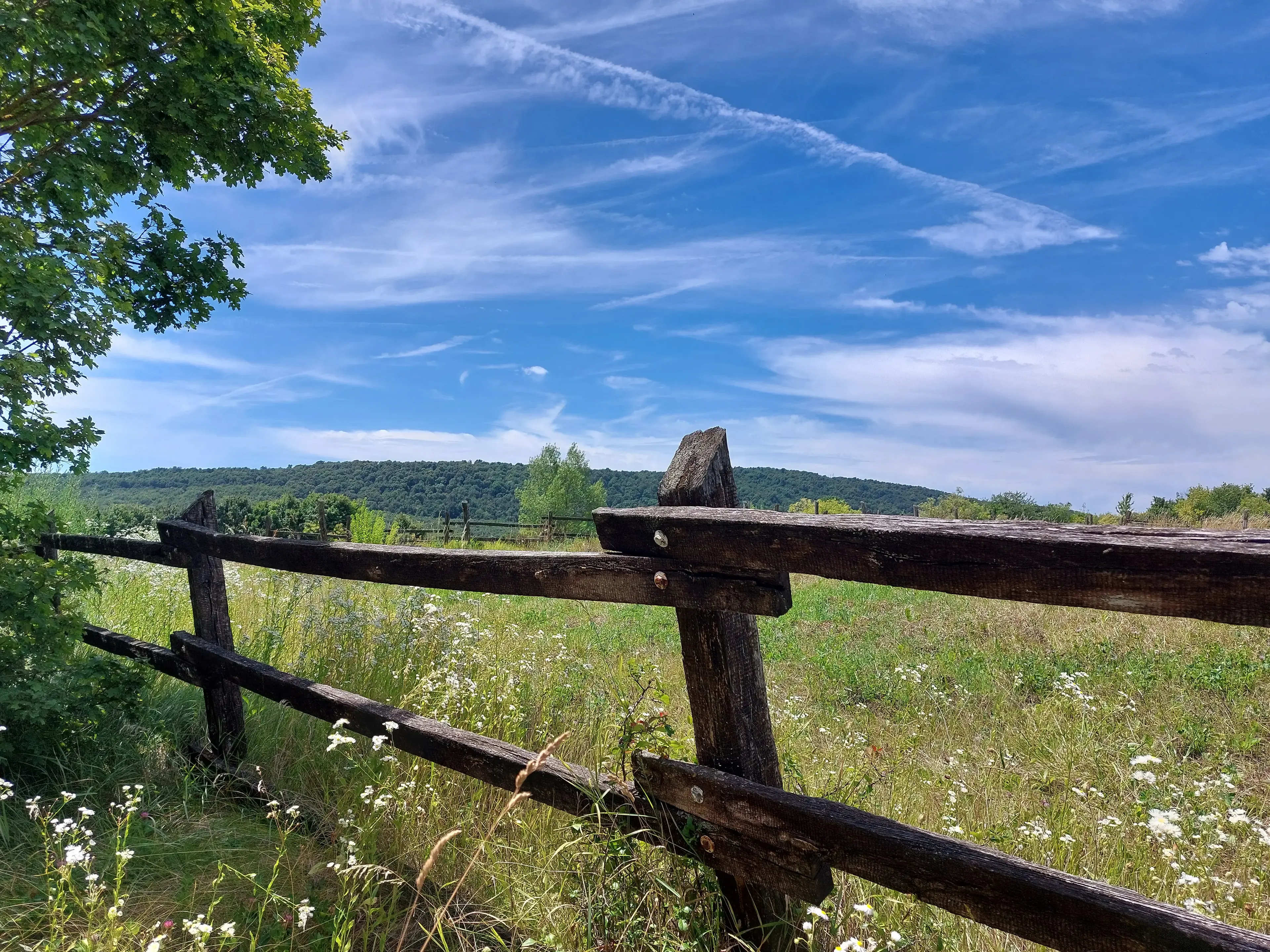 Mező, dombokkal és égboltal, képen középen egy korláttal